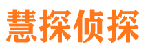 无为市调查公司